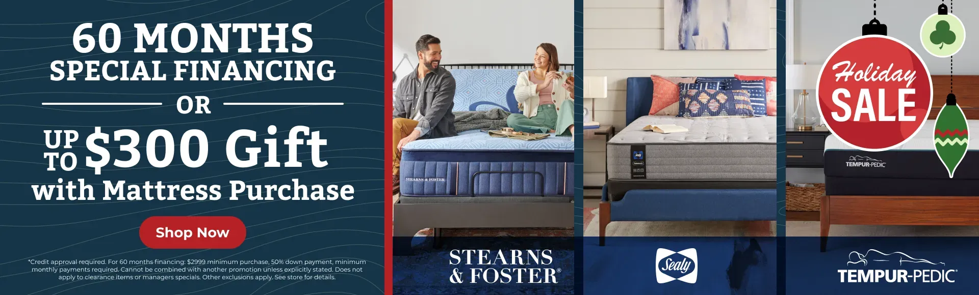 TSI - Holiday Gift - 60 Month Gift